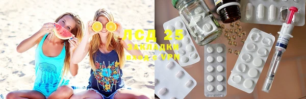 шишки Белоозёрский