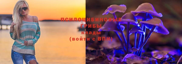 шишки Белоозёрский