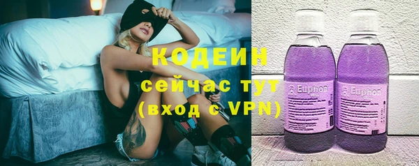 шишки Белоозёрский