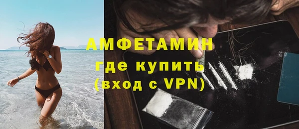 шишки Белоозёрский