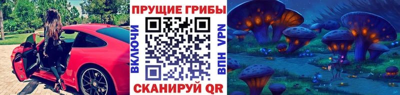 наркота  Кирово-Чепецк  Галлюциногенные грибы прущие грибы 